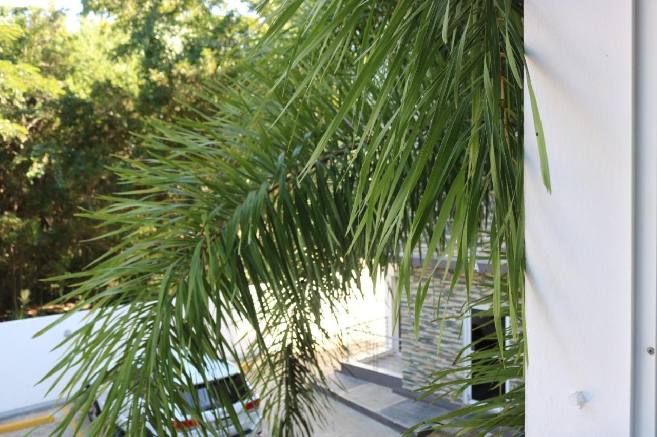 Apartamento Amueblado Amplio Tranquilo Privado Como Tu Lo Mereces Santiago De Los Caballeros Exteriér fotografie